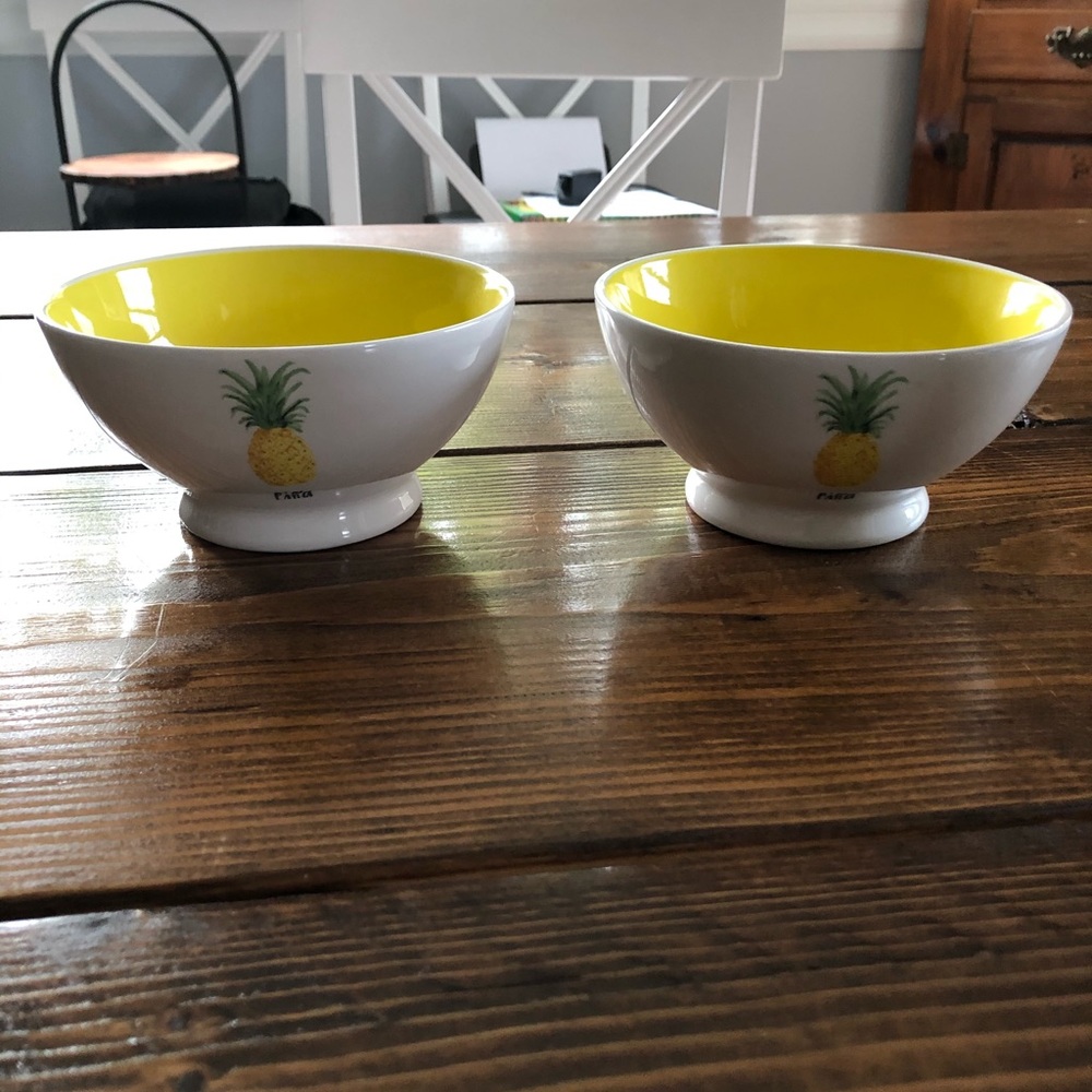 Set of 2 Rae Dunn Pina Bowls
